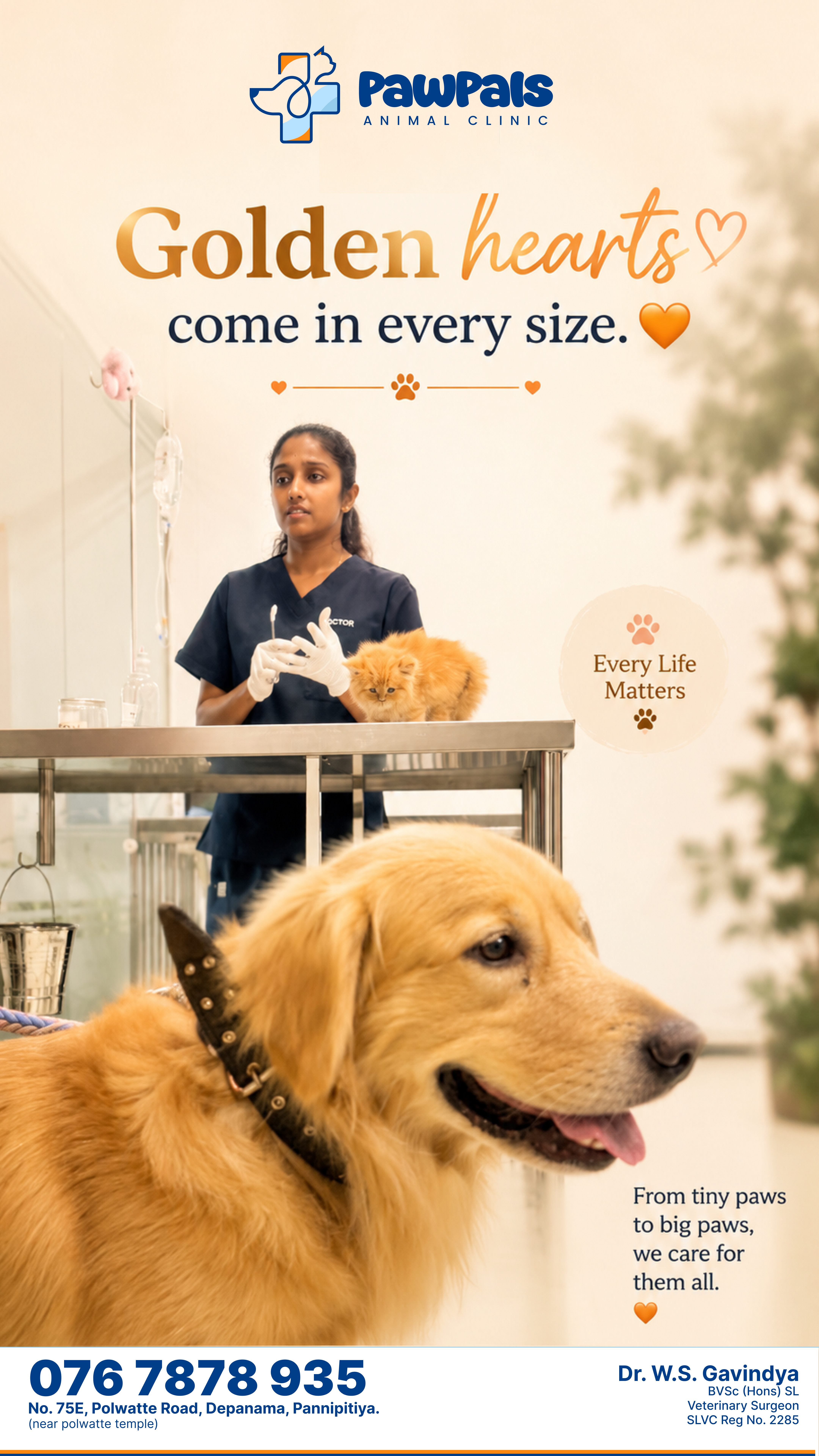 PawPals poster — golden hearts come in every size, with a kitten and golden retriever at the clinic